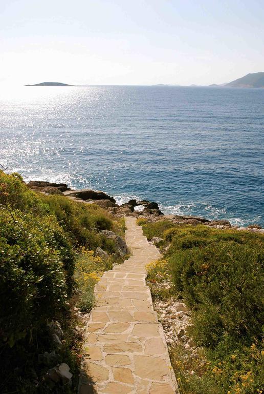 Luxury Villa Caretta Kaş Værelse billede